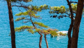 Arena Runke Campsite