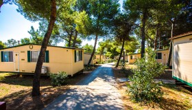 Arena Indije Mobile Homes