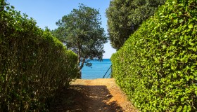 Arena Indije Campsite