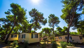 Arena Indije Campsite