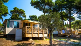 Arena Indije Campsite