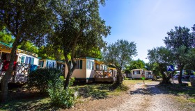 Arena Indije Campsite