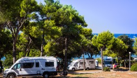 Arena Indije Campsite