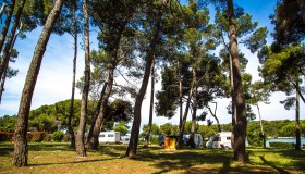 Arena Stoja Campsite