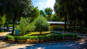 Arena Stoja Campsite