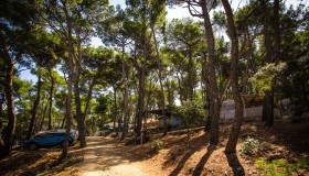 Arena Tašalera Campsite