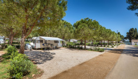 Arena Stoja Campsite