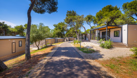 Mobile homes 1