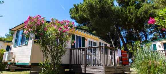 Arena Stupice Mobile Homes
