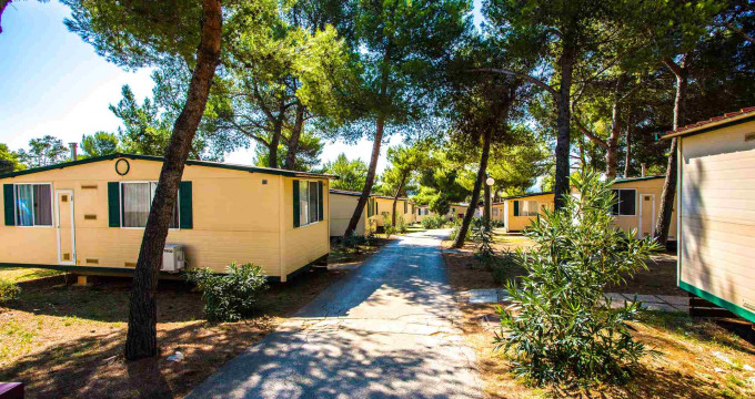 Early Booking - Arena Indije Mobile Homes