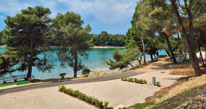 Black Friday Campsites