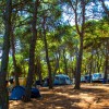 Arena Runke Campeggio