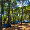 Arena Runke Camping