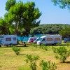 Arena Indije Campsite