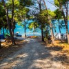 Arena Indije Campsite