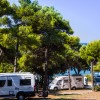 Arena Indije Campsite