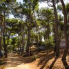 Arena Tašalera Campeggio