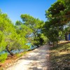 Arena Tašalera Campeggio