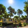 Arena Indije Mobile Homes