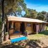 Arena Stoja Campsite Glamping