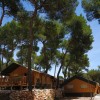 Arena One 99 Glamping