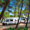 Arena Stupice Campsite