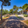 Mobile homes 1